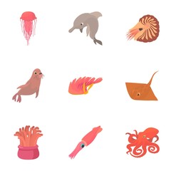 Resident marine life icons set. Cartoon set of 9 resident marine life vector icons for web isolated on white background