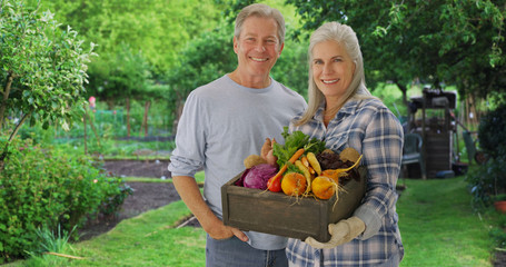 Older Caucasian couple proudly displays home-grown produce from personal garden