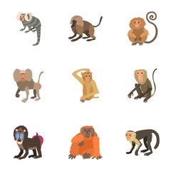 Simian icons set. Cartoon set of 9 simian vector icons for web isolated on white background