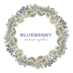 vector floral frame with blueberry, hand drawn template