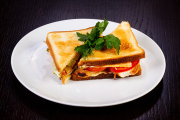 Delicious chicken sandwich