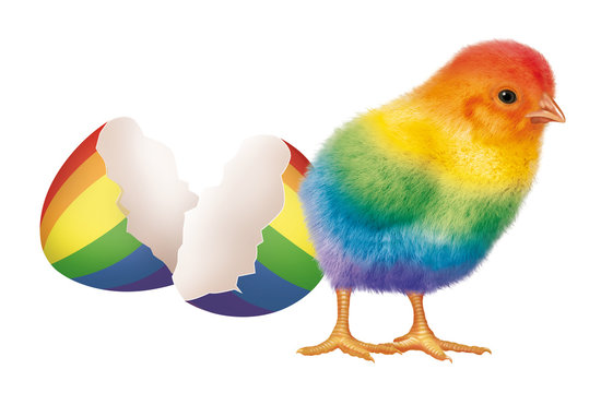 poussin- LGBT- arc en ciel- color&eacute;- naissance- tol&eacute;rance- gay- association- illustration- oeuf- cass&eacute;, drapeau