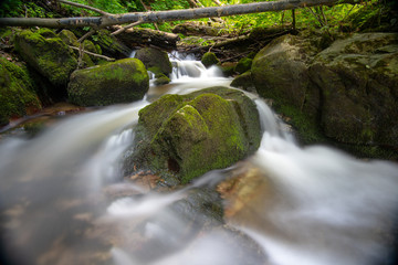 Fototapeta premium Mountain river - stream flowing through thick green forest, Bistriski Vintgar, Slovenia