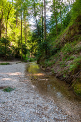 Rettenbach Ebenau