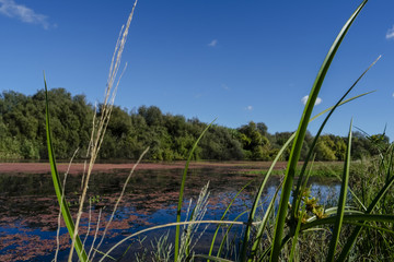 View across Sorraia river in Santa Justa, Coruche Santarem, Portugal. Taken on a hot sunny...