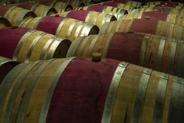 Wooden wine barrels in a basement 