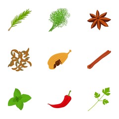 Food herb icons set. Cartoon set of 9 food herb vector icons for web isolated on white background