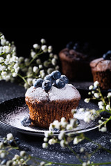 Muffin with powdered sugar and fresh blueberry
