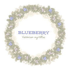 vector floral frame with blueberry, hand drawn template