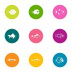 Fish entrepreneurship icons set. Flat set of 9 fish entrepreneurship vector icons for web isolated on white background