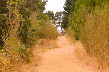 Paisaje natural
