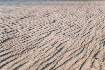 Sand texture. Sandy crests with shadows from the setting sun. Dunes. Horizon. Perspective.