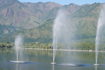 Nishat Garden Srinagar, J&K