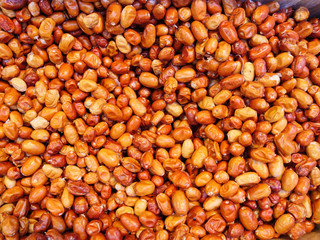 Elaeagnus multiflora ( cherry elaeagnus, cherry silverberry )