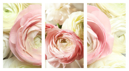 Set with beautiful aromatic ranunculus flowers, closeup - obrazy, fototapety, plakaty