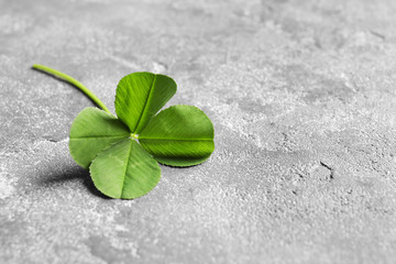 Green four-leaf clover on gray background with space for text