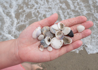 woman removes an old layer of paint with a wooden window