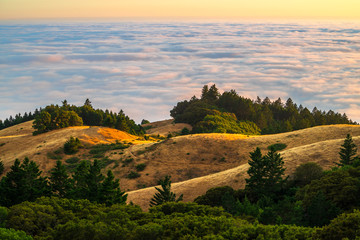 Mount Tamalpais Rolling Hills