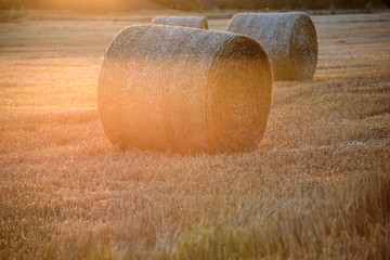 Straw Bales at sunset.
