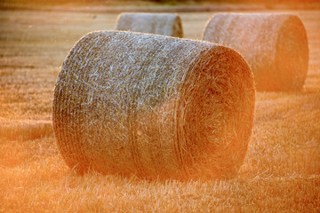 Straw Bales at sunset.