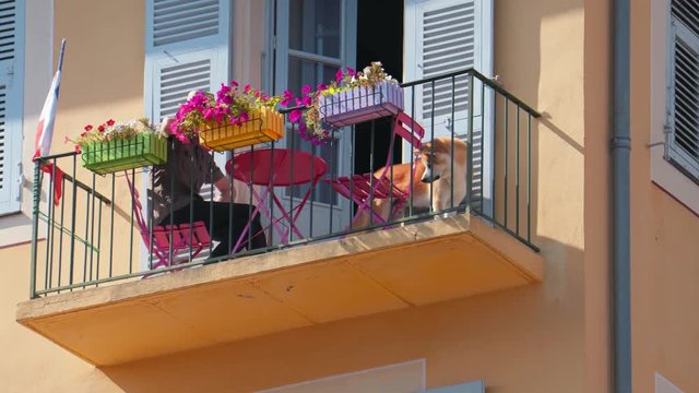 Beautiful view to a picturesque cozy balcony with colorful flowers slightly waving in the wind, a man sitting behind them in the chair and a dog watching around from the balcony.