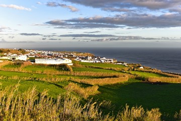 Azoren - Sao Miguel - Relva