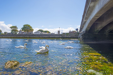 River through the city of Galway in Ireland in summer