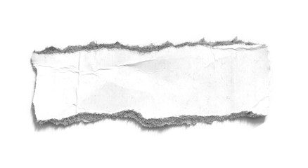 pieces of torn paper texture background, copy space.