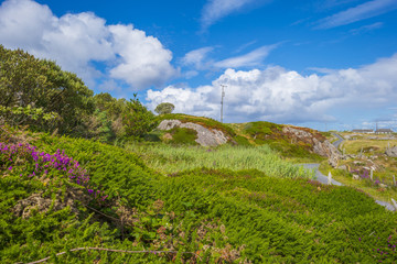 Panorama of an irish coast along the atlantic ocean in summer