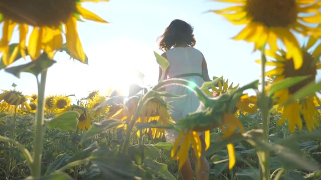 Happy little girl runs happy free across the field with sunflowers. slow motion video. smelling big sunflower on summer field. Delight of a pleasant smell. Summer holiday. concept happiness lifestyle