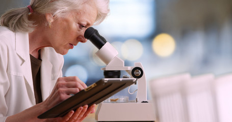 Mature female scientist takes notes on tablet computer and uses microscope