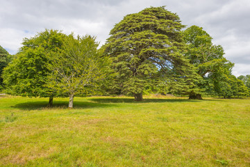 Panorama of edge and surroundings of a lake in a national park in summer