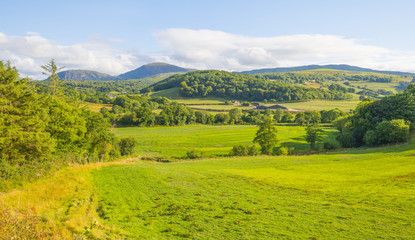 Hilly scenic landscape near Killarney in Ireland in summer