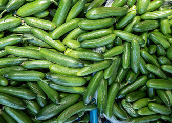 fresh cucumbers. cucumber vegetables background