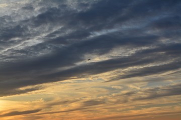 Obraz premium In flight