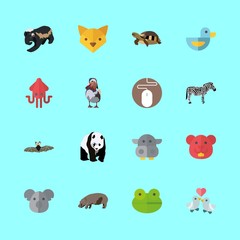 animal icons set. snout, savanna, camouflage and design graphic works