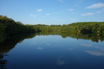 Fototapeta na wymiar 夏の空を映す池