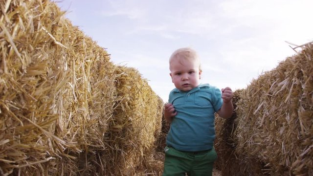 Toddler walks through a hay bale maze