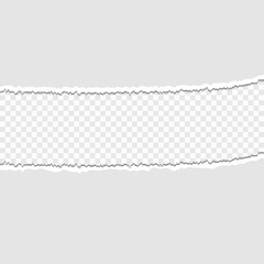 Pieces of torn paper on a transparent background. Vector illustration for your design.