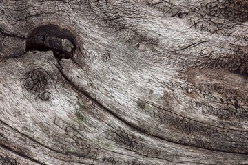 Old vintage antique wood