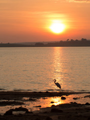 Sunset Tietê River