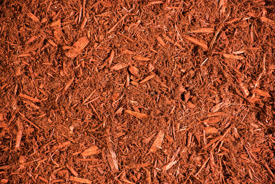 Red Mulch