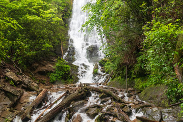 Mingo Falls in Great Smoky Mountains National Park