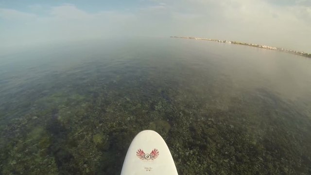 Stand up paddling over Corall Reefs with crystall clear Water