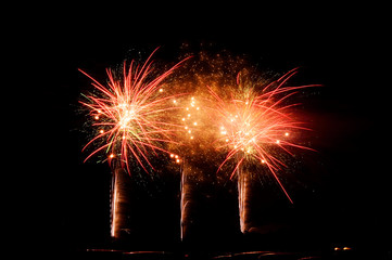 中津市民花火大会