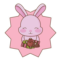 cute rabbits design