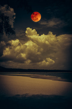 Landscape of sky with bloodmoon on seascape to night. Serenity nature background.