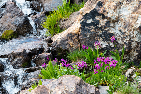 McCullough Gulch Hike Breckenridge Colorado