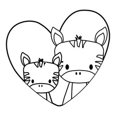 heart with cute zebras over white background, vector illustration