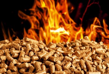 Biomass.